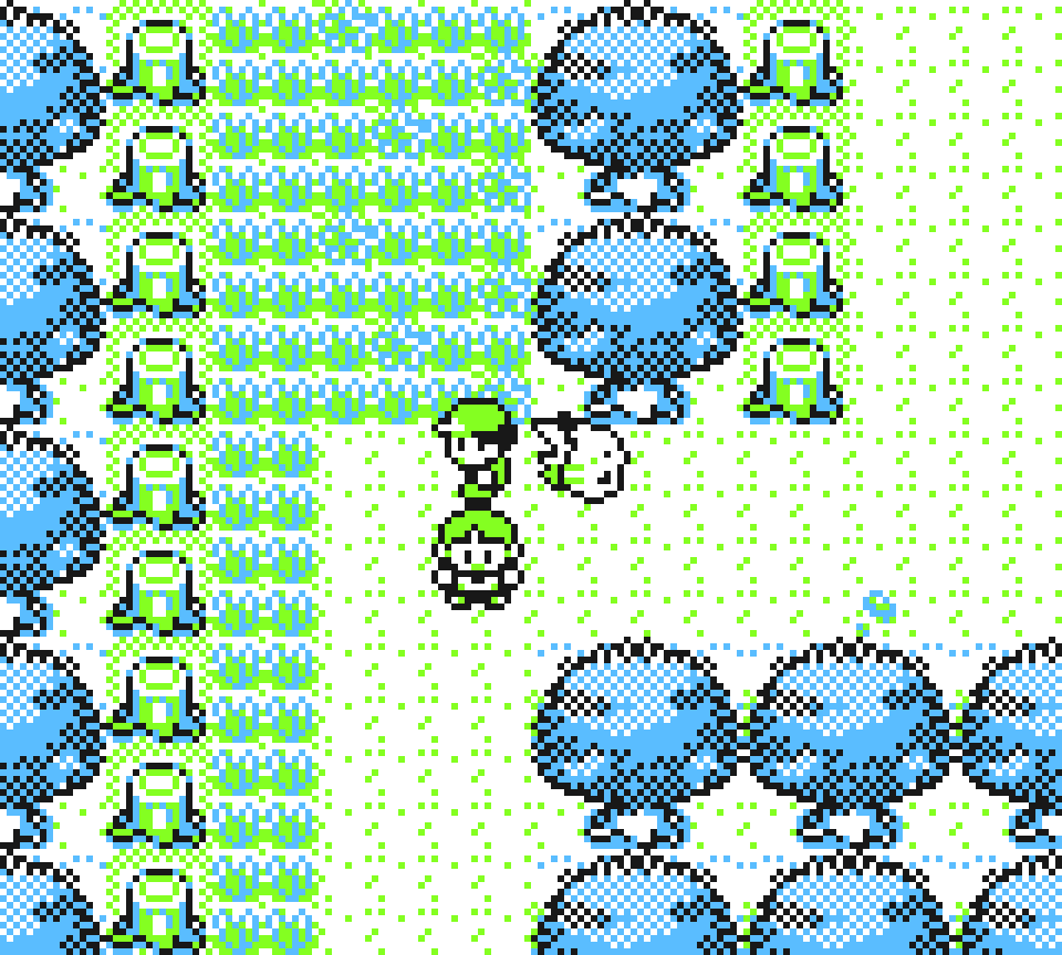 Viridian Forest in-game. There are numerous trees and a grassy path and a not grassy path. In the middle is the main character, their Pikachu, and below that is another trainer.
